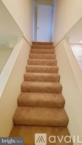 A staircase with a carpeted runner and white walls.