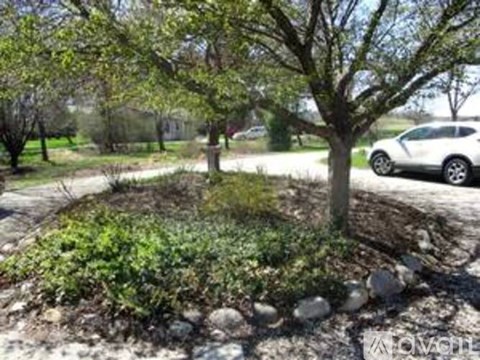A tree in a garden with a car parked behind it.