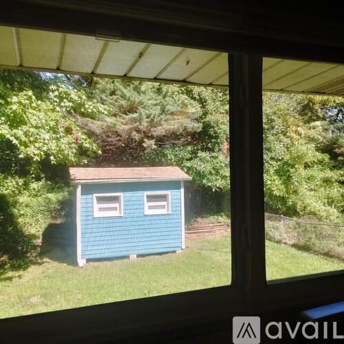 A small blue shed sits in a grassy area.