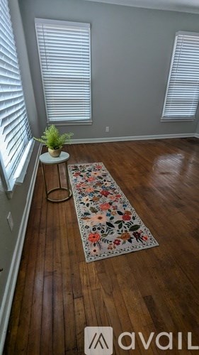 A room with a rug and a plant on the floor.
