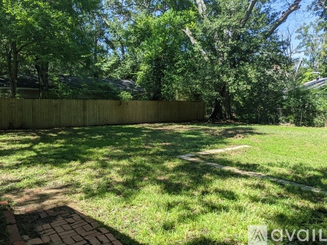 A backyard with a wooden fence and green grass.