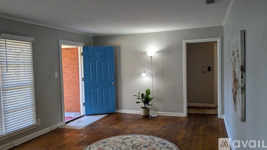 A room with a blue door and a plant on the table.