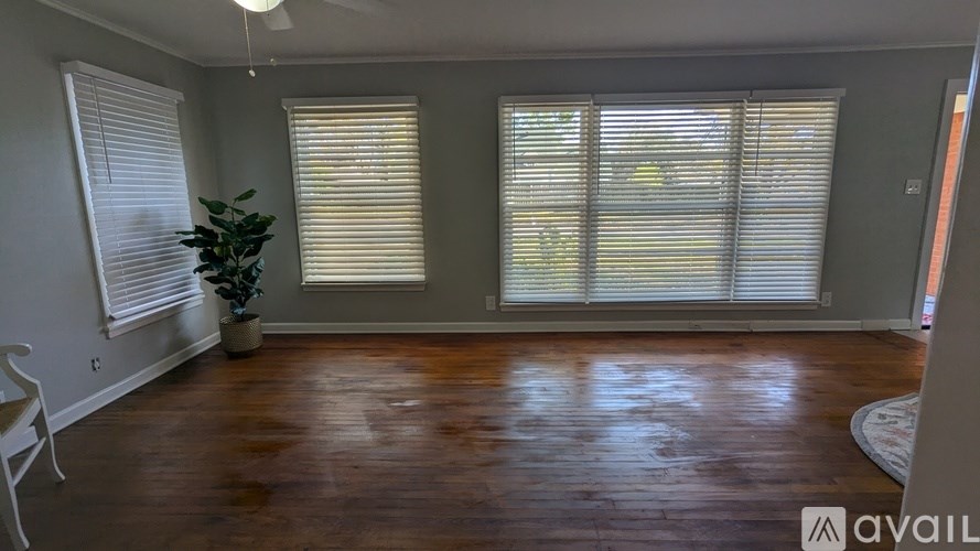 A room with wooden floors and a plant in a pot.