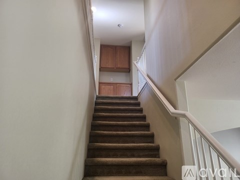 A staircase with a carpeted runner and white handrails.