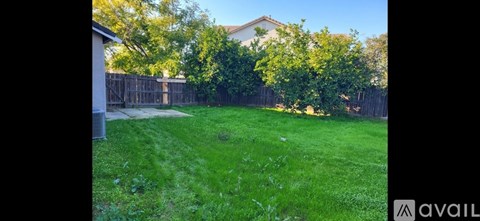 A backyard with a green lawn and a wooden fence.