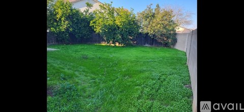 A backyard with a green lawn and trees.