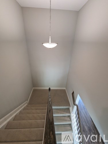 A staircase with beige carpeted steps and a wooden handrail.