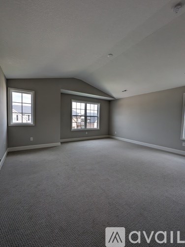 A room with grey walls and a carpeted floor.
