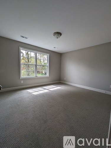 A room with a carpeted floor and a window letting in natural light.