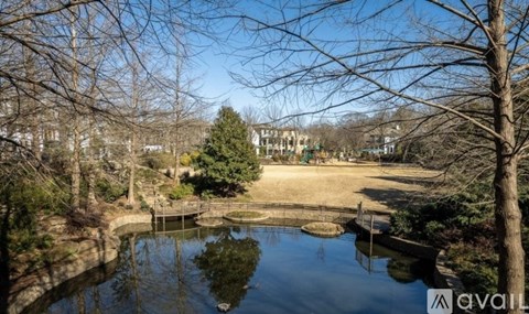 A tranquil pond in a park with trees and a clear blue sky.