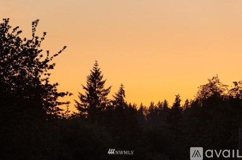 A forest of trees silhouetted against a sunset sky.