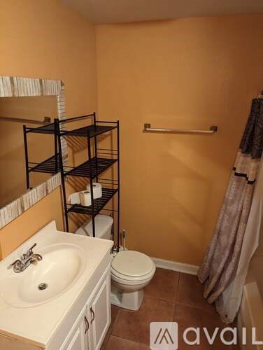 A bathroom with a toilet, sink, and shelves.