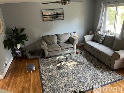 A living room with a grey couch and a rug.