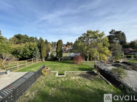 A backyard with a fence and a tree.
