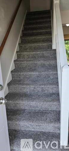 A staircase with a carpeted runner and wooden handrail.