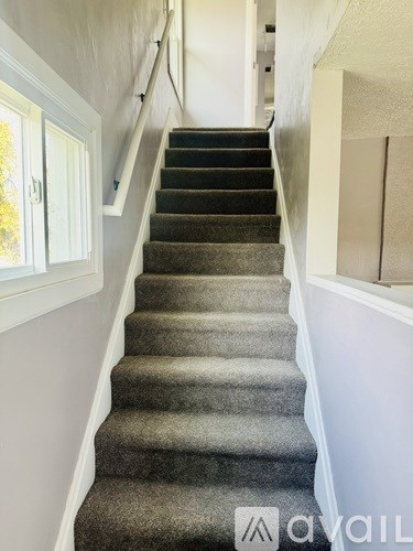 A staircase with a carpeted runner and white walls.