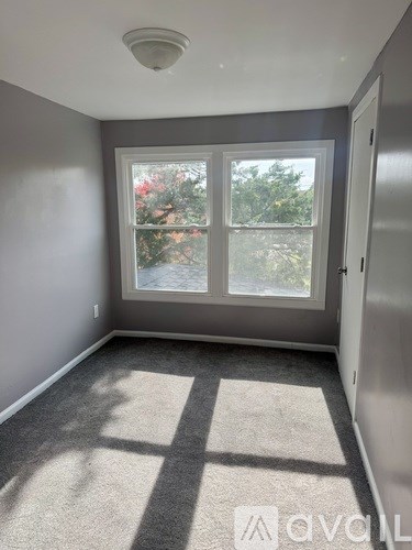 A room with a carpeted floor and a window showing a garden outside.