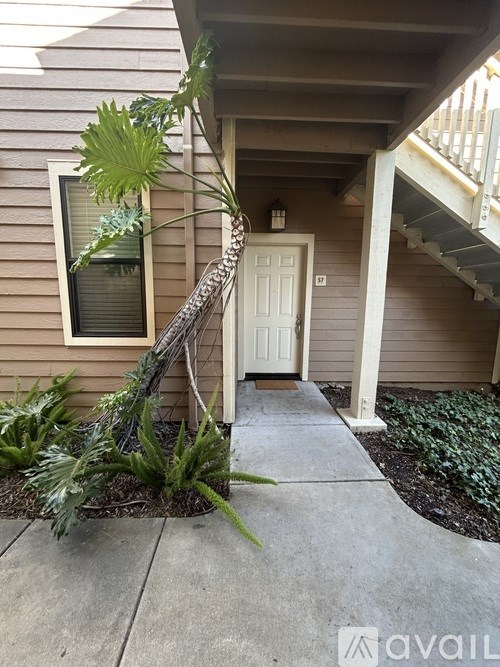 A house with a white door and a plant in front.