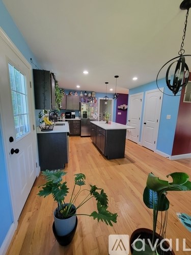A kitchen with a blue wall and wooden floors.