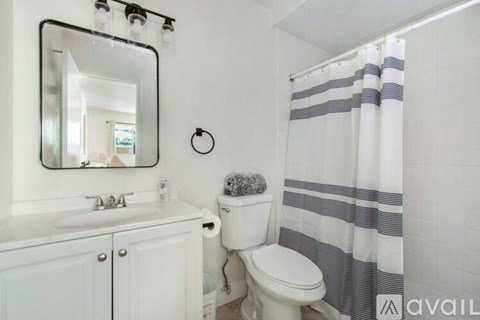 A bathroom with a toilet, sink, and shower curtain.