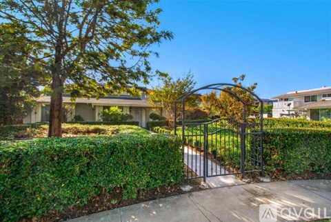 A tree stands in front of a house with a metal gate.