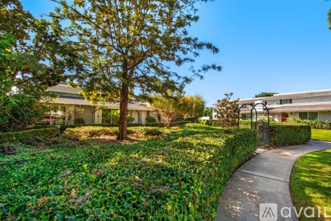 A tree in a yard with a house in the background.
