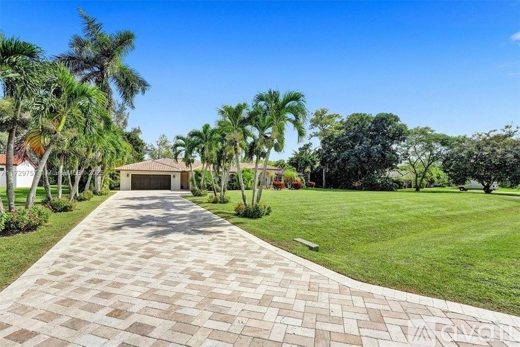 A driveway leads to a house with a palm tree lined yard.