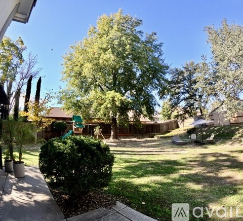 A backyard with a green lawn chair and a tree.