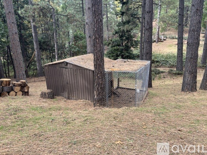 A small wooden shed sits in a grassy clearing surrounded by trees.