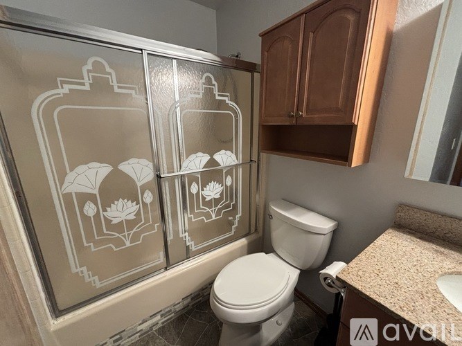A bathroom with a toilet, sink, and frosted glass shower door.
