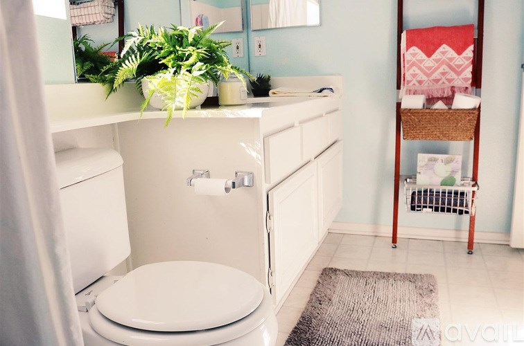 A white toilet in a bathroom with a plant on the counter.