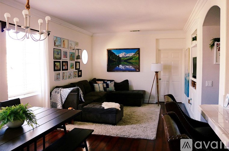 A living room with a couch, a coffee table, a potted plant, and pictures on the wall.