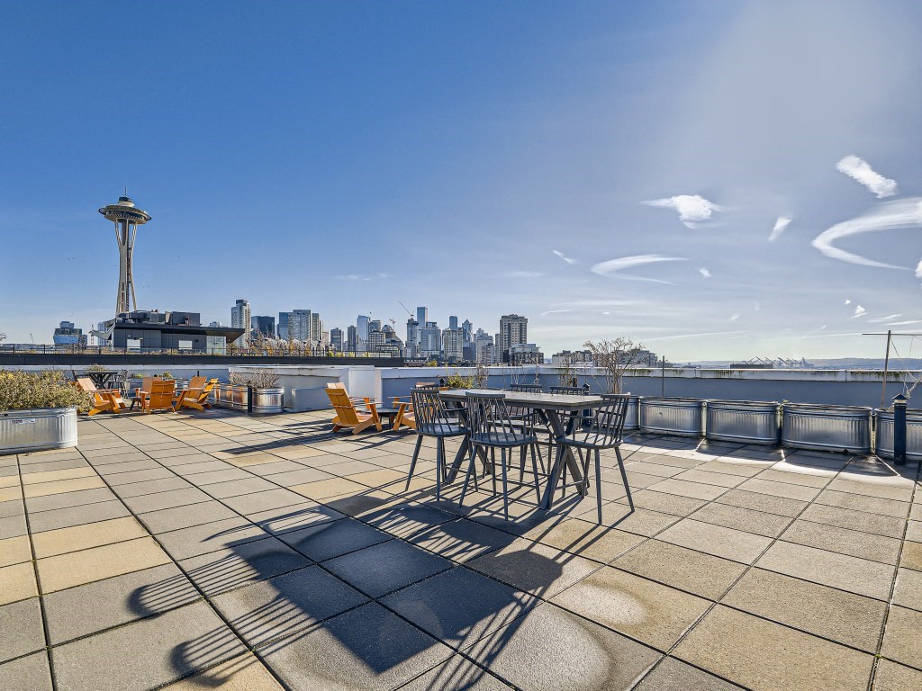 the roof terrace with views and the space needle
