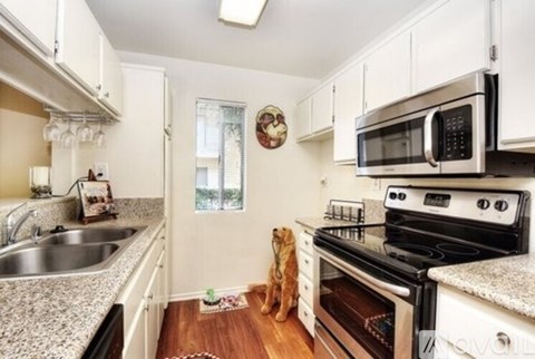 A dog is standing in a kitchen with a stove and microwave.