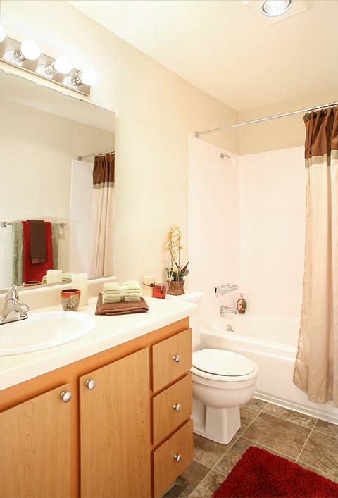 a bathroom with a toilet sink and tub and a mirror