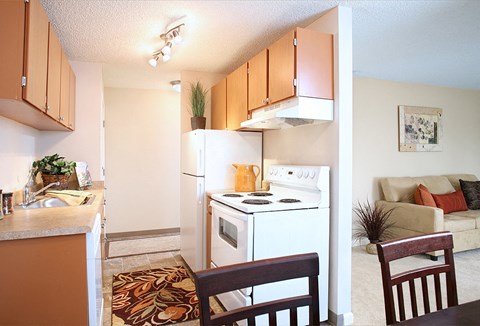 a kitchen and living room with a stove refrigerator and sink