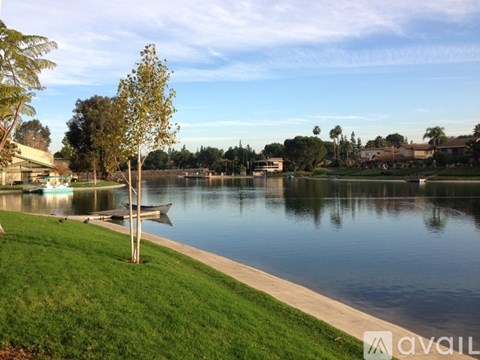 A serene lake surrounded by a grassy area and trees under a clear sky.