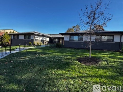 A tree is planted in a small mound in a grassy yard.