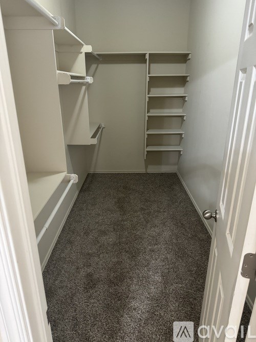 A white closet with shelves and a carpeted floor.