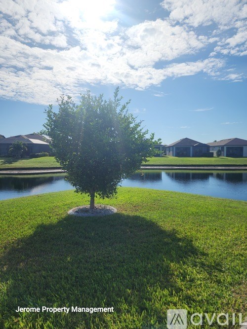 A tree stands alone in a grassy field with houses in the background.