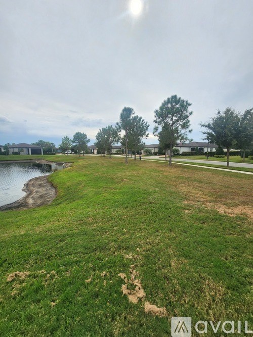 A grassy area with a body of water and trees in the distance.