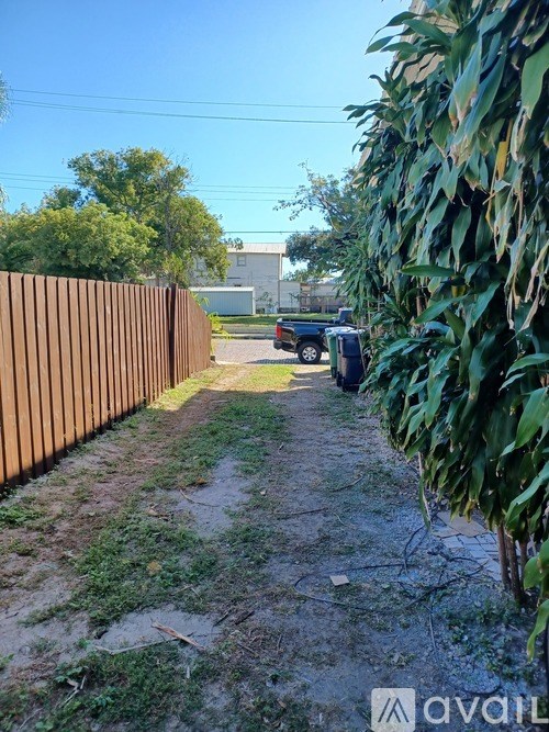 A pathway with a fence on the left and a green plant on the right.
