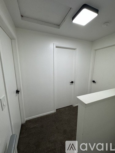 A white door is in a room with carpeting.