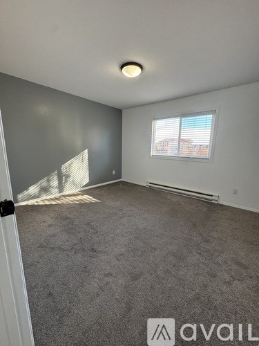 A room with grey carpet and a window with blinds.