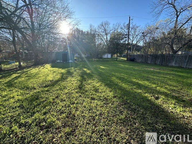 A sunny day in a grassy backyard with trees and a fence.