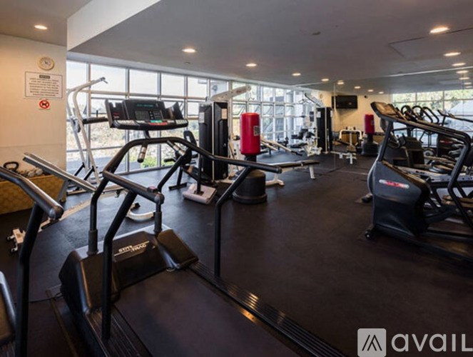 A gym with treadmills, elliptical machines, and other exercise equipment.