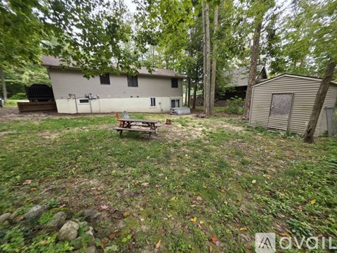 A backyard with a picnic table and a shed.