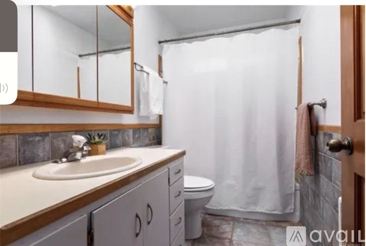 A bathroom with a sink, toilet, and shower.