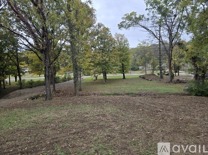 A grassy area with trees in the background and a dirt path.