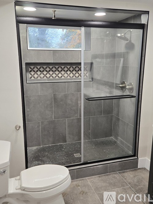 A bathroom with a walk-in shower and a toilet.